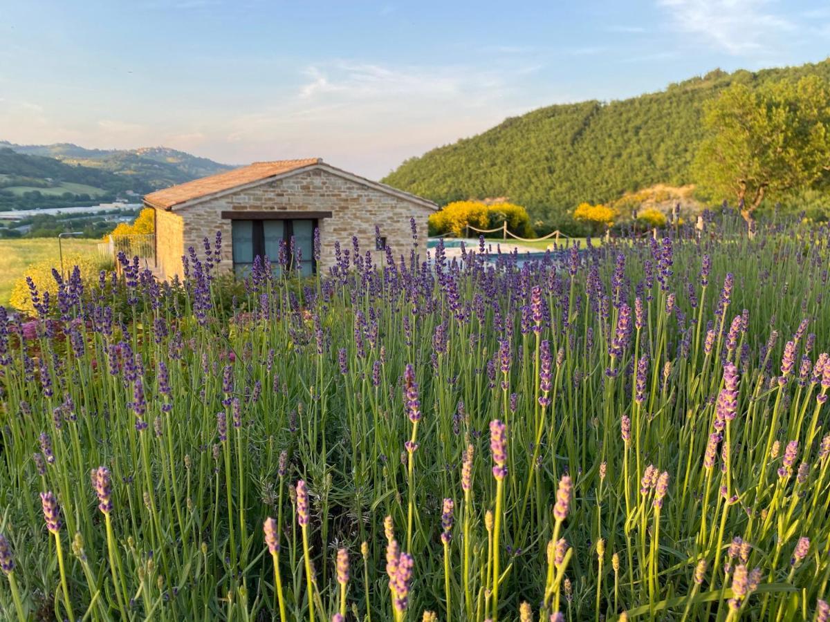Amico Country House Serra San Quirico Exterior foto