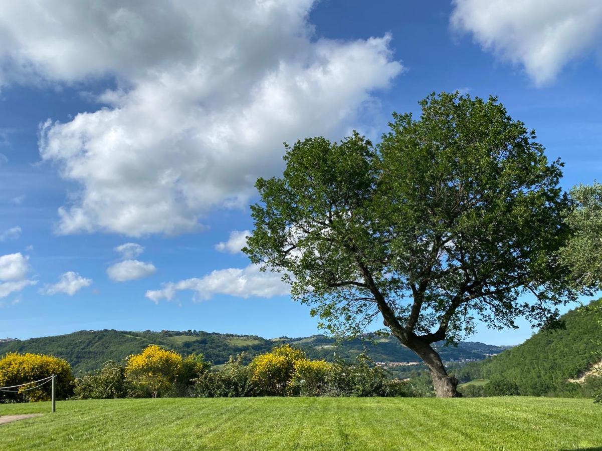 Amico Country House Serra San Quirico Exterior foto